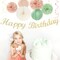 Sage-Green Pink First Happy Birthday Party-Decorations(Beige Mint Green Pink)